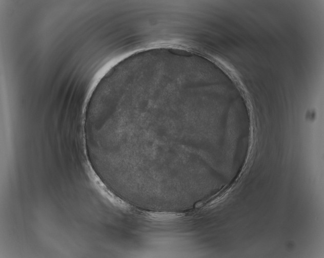 X0000115661200200912031325