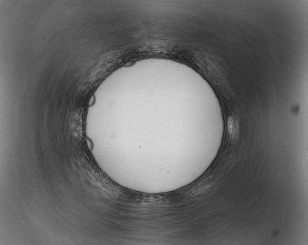 X0000115661203200912031325
