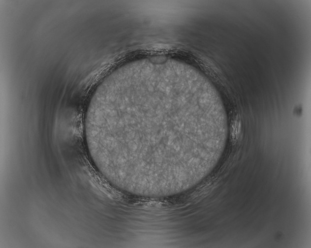 X0000115661204200912031325