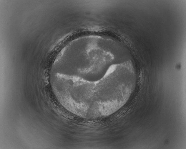 X0000115661205200912031325