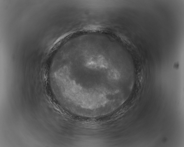 X0000115661206200912031325