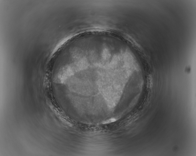 X0000115661208200912031325