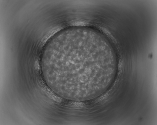 X0000115661209200912031325