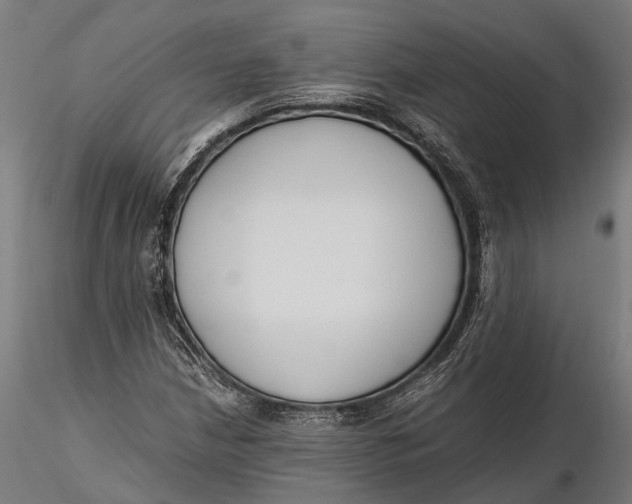 X0000115661210200912031325