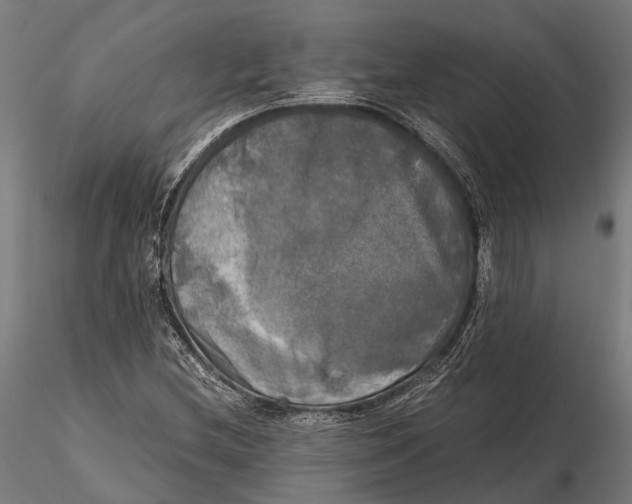 X0000115661212200912031325