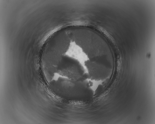 X0000115661213200912031325