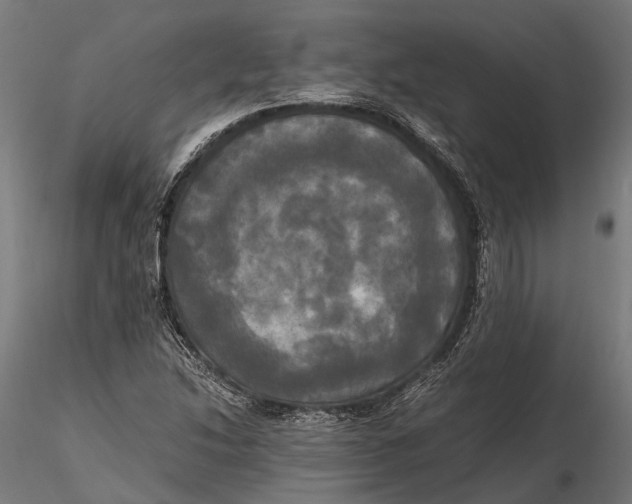 X0000115661214200912031325