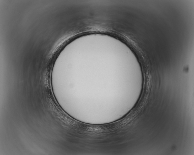 X0000115661215200912031325