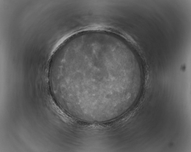 X0000115661216200912031325