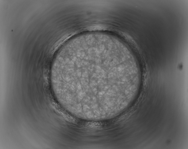 X0000115661217200912031325