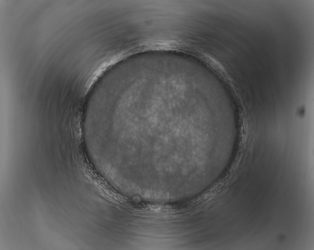 X0000115661218200912031325