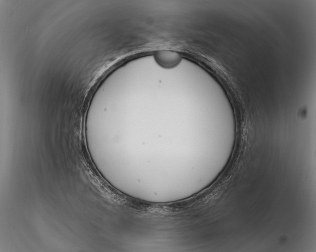 X0000115661220200912031325