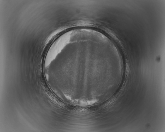 X0000115661222200912031325