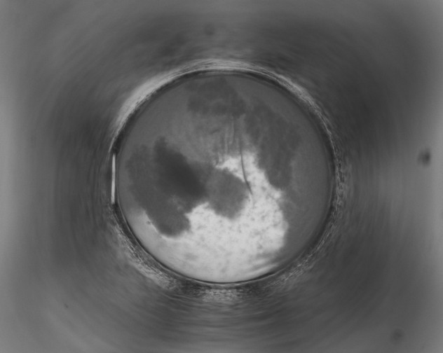 X0000115661223200912031325