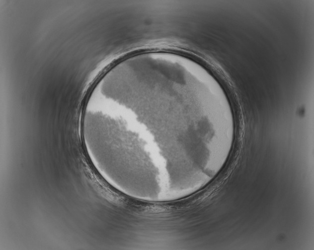 X0000115661224200912031325