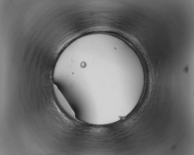 X0000115661225200912031325