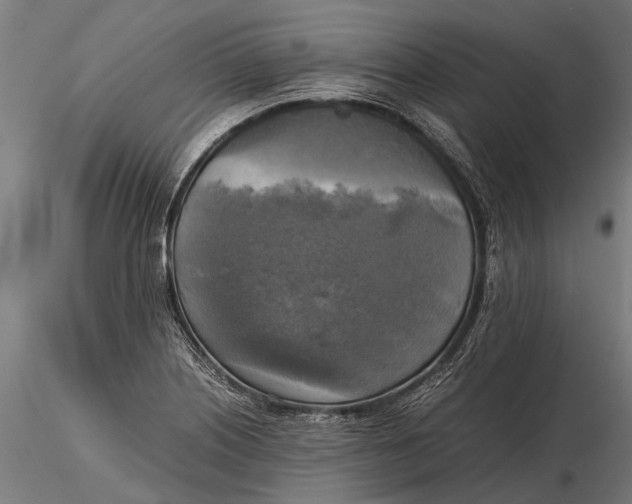 X0000115661226200912031325