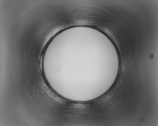 X0000115661227200912031325