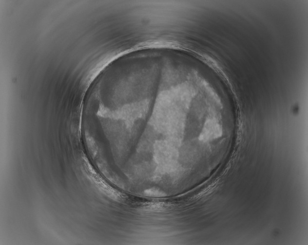 X0000115661228200912031325