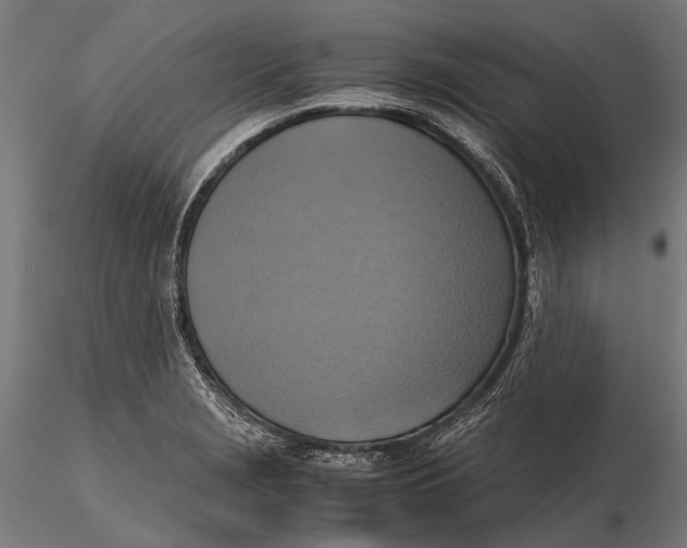 X0000115661229200912031325