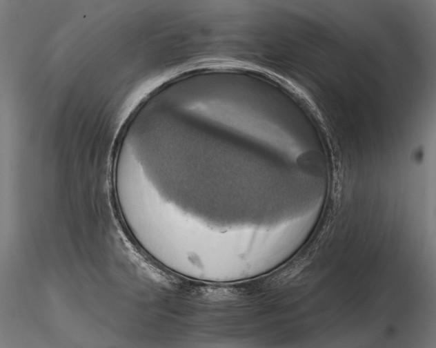 X0000115661231200912031325