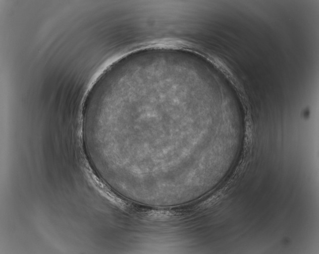X0000115661232200912031325