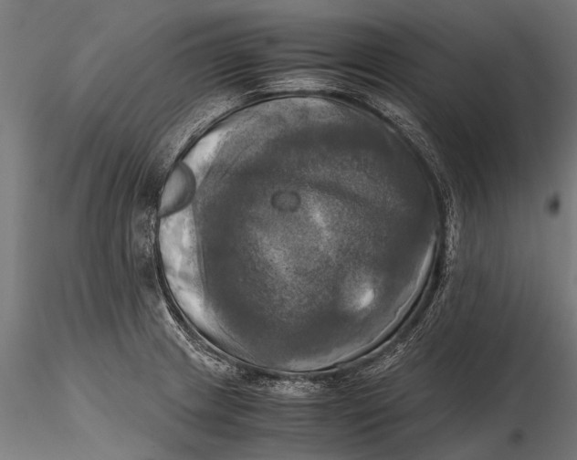 X0000115661233200912031325
