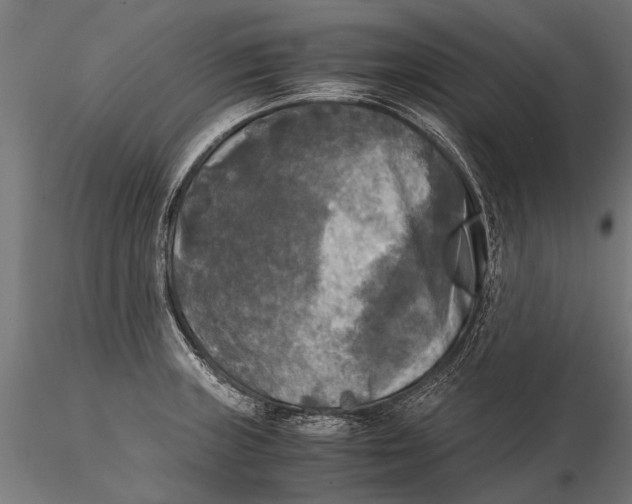 X0000115661235200912031325