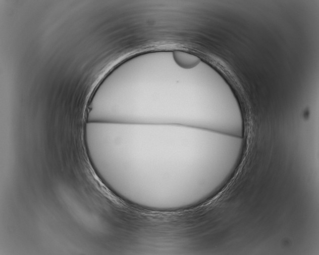 X0000115661236200912031325