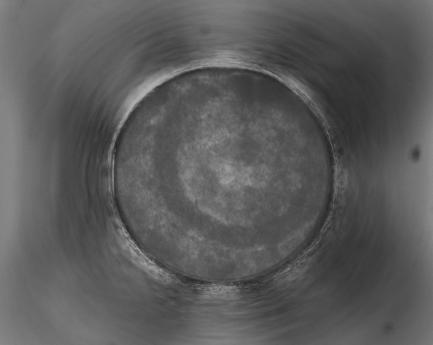 X0000115661238200912031325