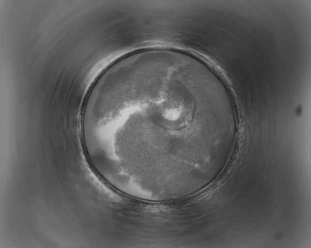 X0000115661239200912031325