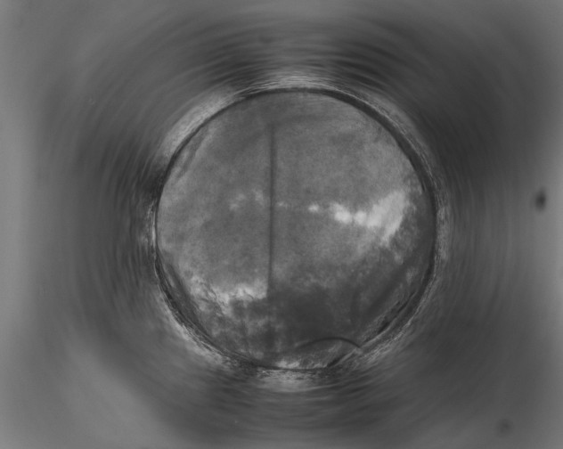 X0000115661241200912031325