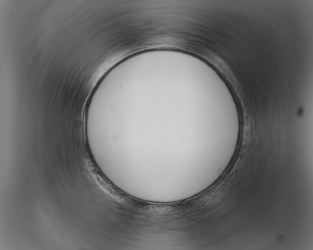 X0000115661242200912031325
