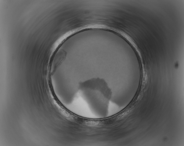 X0000115661245200912031325