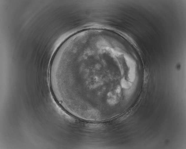 X0000115661247200912031325