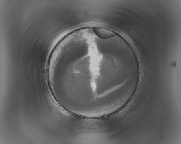 X0000115661248200912031325