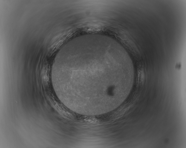 X0000115661250200912031325
