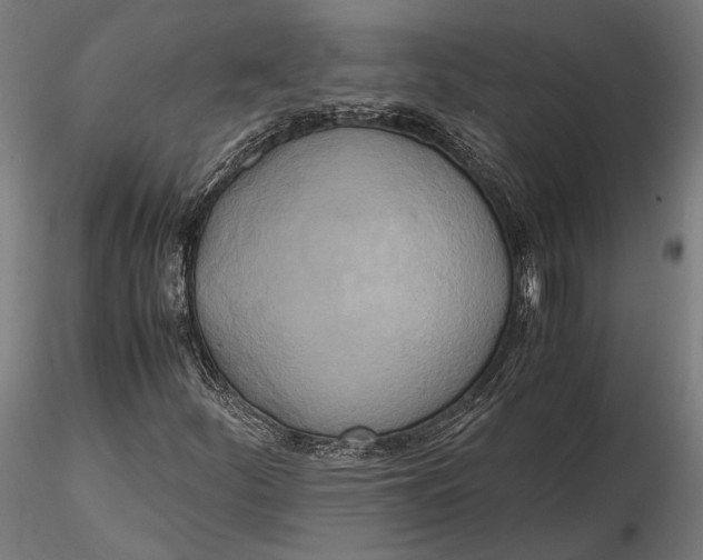 X0000115661252200912031325