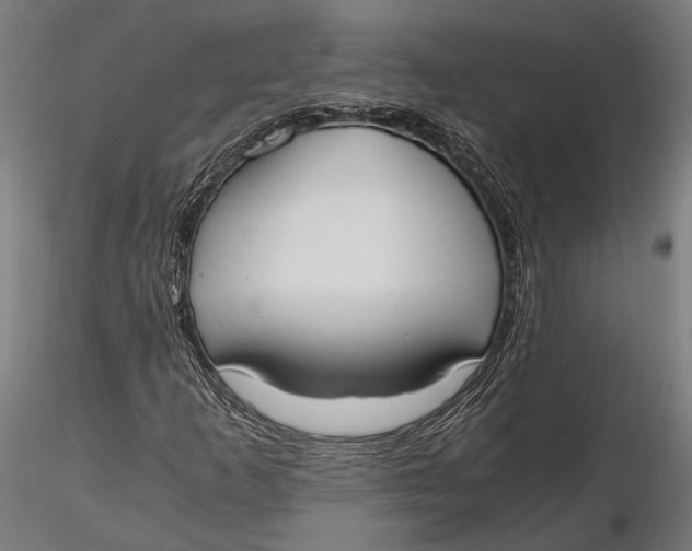 X0000115661253200912031325