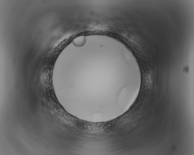 X0000115661254200912031325