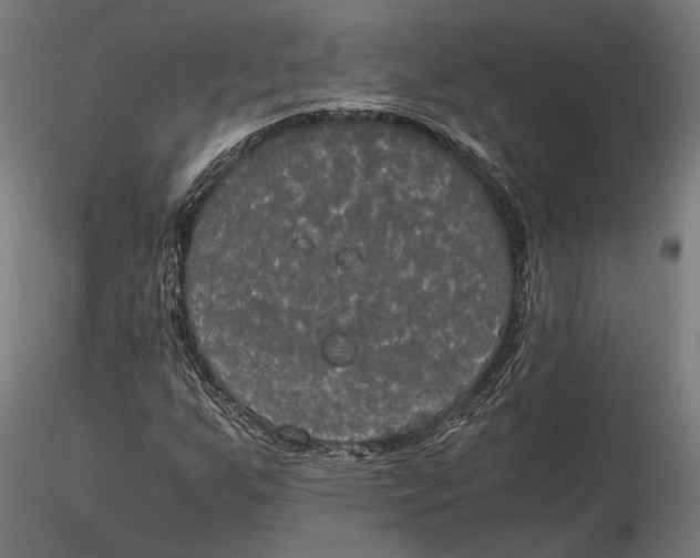 X0000115661255200912031324
