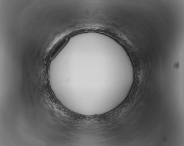 X0000115661256200912031324