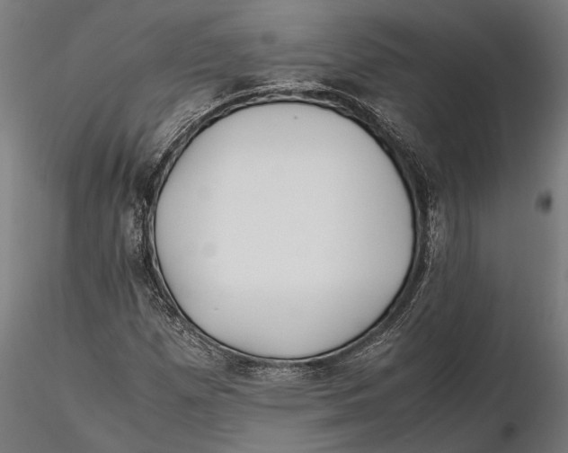 X0000115661257200912031324