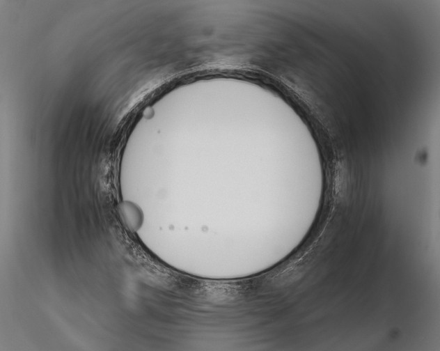 X0000115661258200912031324