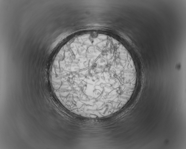 X0000115661259200912031324