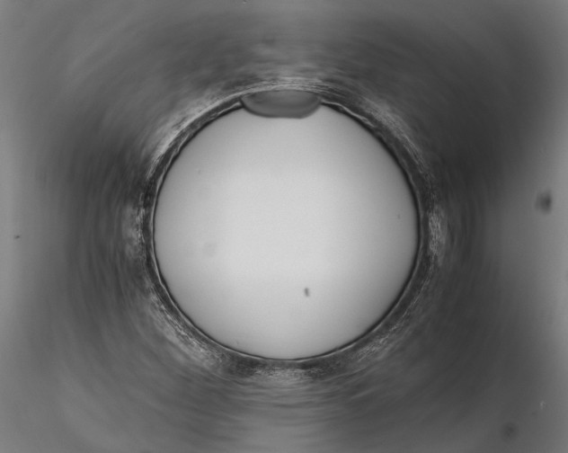 X0000115661260200912031324
