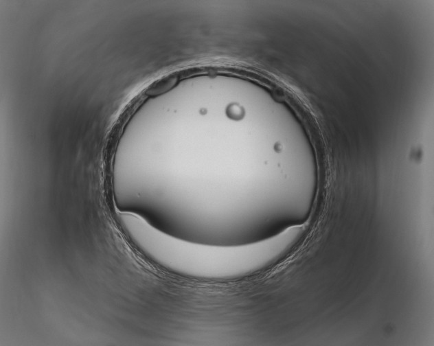 X0000115661264200912031324