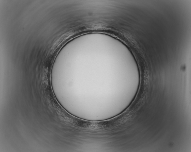 X0000115661265200912031324