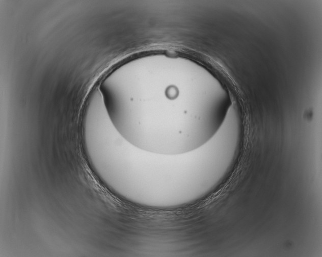 X0000115661268200912031324