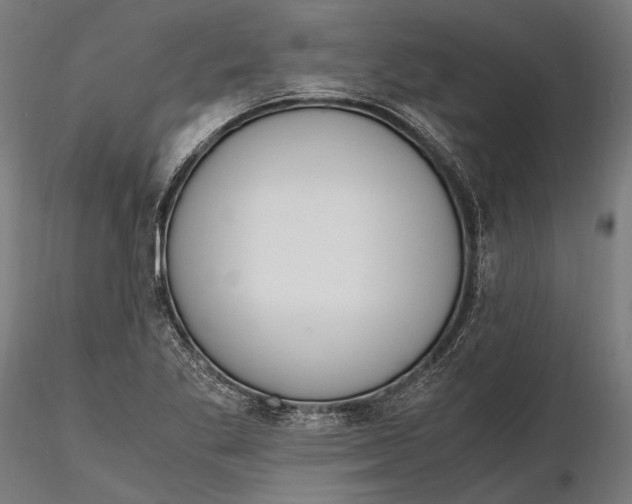 X0000115661269200912031324